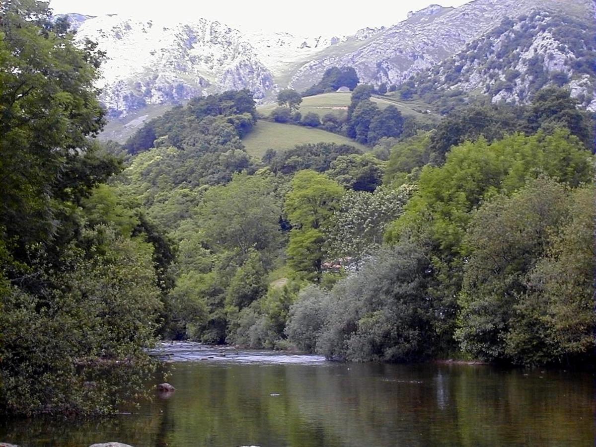 Apto Valle Encantado, Piscina Y Vistas, Tu Escapada Perfecta Gibaja 外观 照片